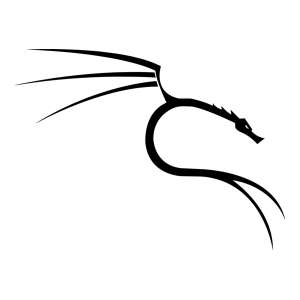 I started learning Kali Linux